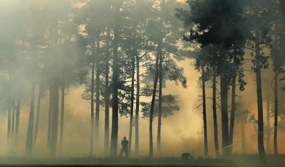 women's golf