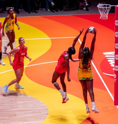 Vitality Roses