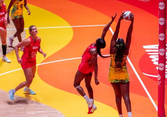 Vitality Roses
