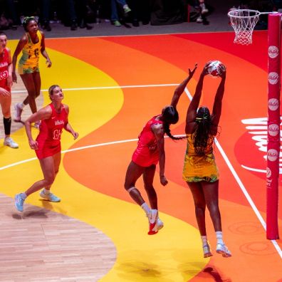 Vitality Roses