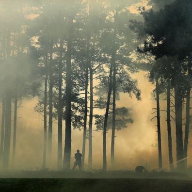 women's golf